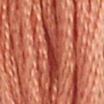 DMC Stranded Cotton - 21