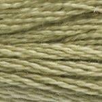 DMC Stranded Cotton - 3013