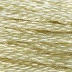 DMC Stranded Cotton - 3047