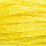 DMC Stranded Cotton - 307