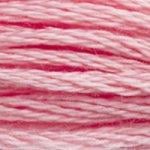 DMC Stranded Cotton - 3326