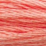 DMC Stranded Cotton - 3341