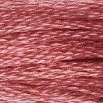 DMC Stranded Cotton - 335