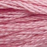 DMC Stranded Cotton - 3354