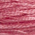 DMC Stranded Cotton - 3733