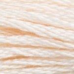 DMC Stranded Cotton - 3770