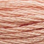 DMC Stranded Cotton - 3771