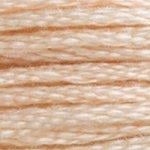 DMC Stranded Cotton - 3774