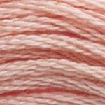DMC Stranded Cotton - 3779