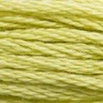 DMC Stranded Cotton - 3819