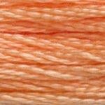 DMC Stranded Cotton - 3825