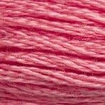 DMC Stranded Cotton - 3833