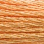 DMC Stranded Cotton - 3854