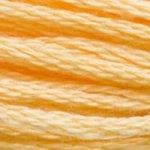DMC Stranded Cotton - 3855