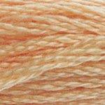 DMC Stranded Cotton - 3856
