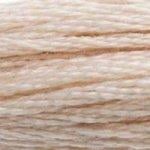DMC Stranded Cotton - 543