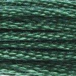 DMC Stranded Cotton - 561
