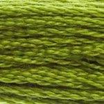 DMC Stranded Cotton - 581