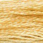 DMC Stranded Cotton - 676