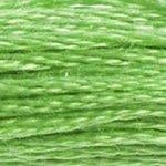 DMC Stranded Cotton - 703