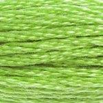 DMC Stranded Cotton - 704
