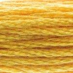 DMC Stranded Cotton - 728