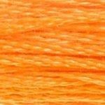 DMC Stranded Cotton - 741