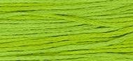 OverDyed Cotton - Weeks Dye Works 5 yard skein - Absinthe #2204