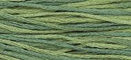 OverDyed Cotton - Weeks Dye Works 5 yard skein - Blue Spruce #1276