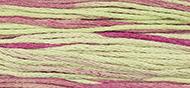 OverDyed Cotton - Weeks Dye Works 5 yard skein - Coleus #1126