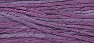 OverDyed Cotton - Weeks Dye Works 5 yard skein - Concord #1318