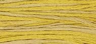 OverDyed Cotton - Weeks Dye Works 5 yard skein - Curry #2220