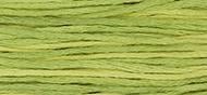 OverDyed Cotton - Weeks Dye Works 5 yard skein - Daffodil #1119