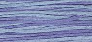 OverDyed Cotton - Weeks Dye Works 5 yard skein - Dutch Iris #2342