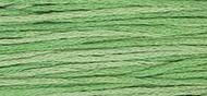 OverDyed Cotton - Weeks Dye Works 5 yard skein - Emerald #2171