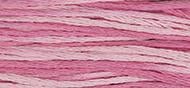 OverDyed Cotton - Weeks Dye Works 5 yard skein - Emma's Pink #2280