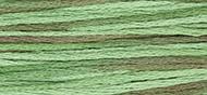 OverDyed Cotton - Weeks Dye Works 5 yard skein - Foliage #4135