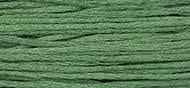 OverDyed Cotton - Weeks Dye Works 5 yard skein - Holly #1279
