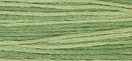 OverDyed Cotton - Weeks Dye Works 5 yard skein - Ivy #2198