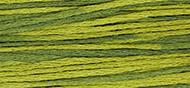 OverDyed Cotton - Weeks Dye Works 5 yard skein - Moss #2201