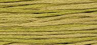 OverDyed Cotton - Weeks Dye Works 5 yard skein - Olive #2211