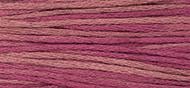 OverDyed Cotton - Weeks Dye Works 5 yard skein - Raspberry #1336