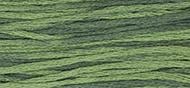 OverDyed Cotton - Weeks Dye Works 5 yard skein - Seaweed #2159