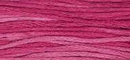 OverDyed Cotton - Weeks Dye Works 5 yard skein - Strawberry Fields #2265