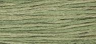 OverDyed Cotton - Weeks Dye Works 5 yard skein - Tarragon #2199