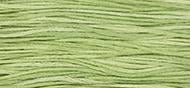 OverDyed Cotton - Weeks Dye Works 5 yard skein - Wasabi #1120