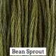 Stranded Cotton - Classic Colourworks - Bean Sprout