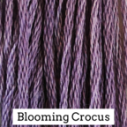 Stranded Cotton - Classic Colourworks - Blooming Crocus