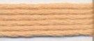 Needlepoint Silk Floss - 856 - Hodgepodge Range