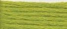 Needlepoint Silk Floss - 656 - Acid Green Range